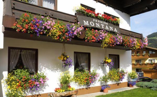 Pension Montana Wagrain Exterior foto